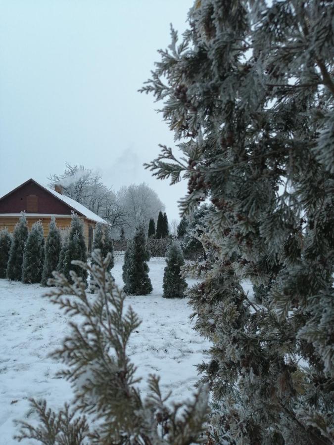 Usadba Kupalinka Hotel Ostrovo Ruang foto