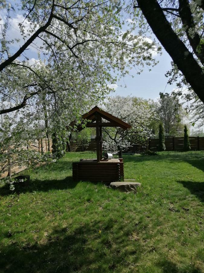 Usadba Kupalinka Hotel Ostrovo Bagian luar foto